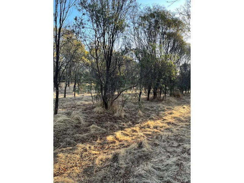 Additional image 19 of 964 Dobaderry Road, Beverley WA 6304