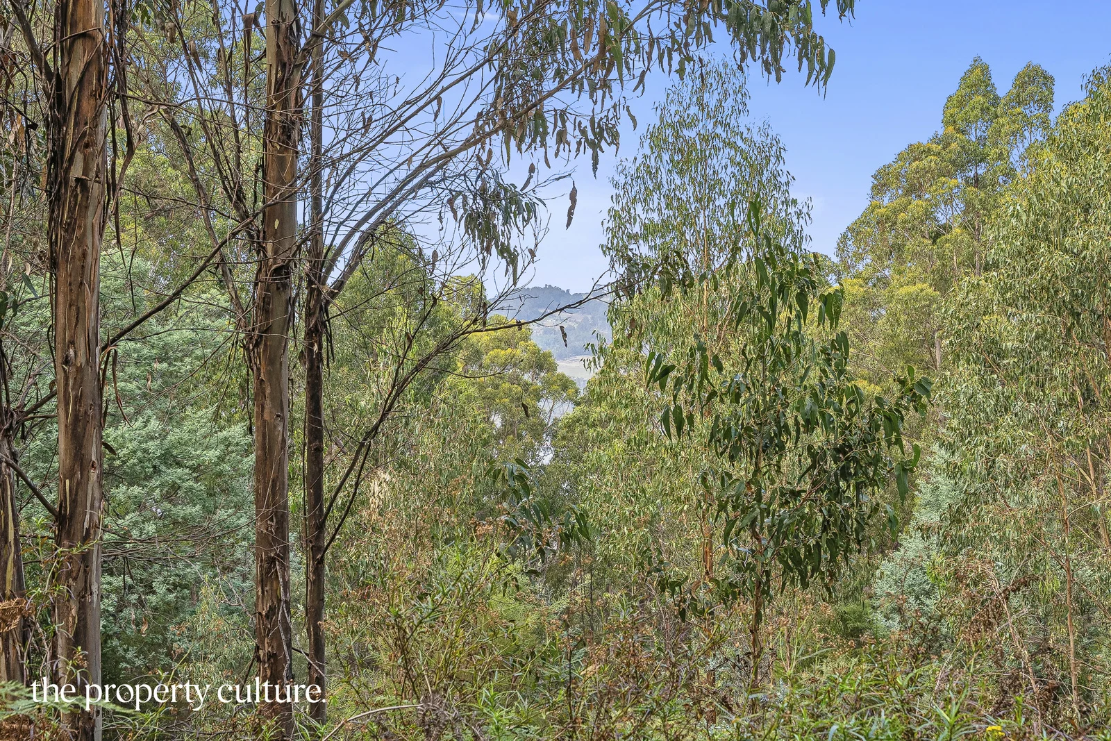 Additional image 9 of 2 Heriots Rise, Franklin TAS 7113