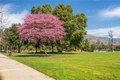 Additional image 39 of 651 N Sunnyslope Ave, Pasadena, CA, 91107