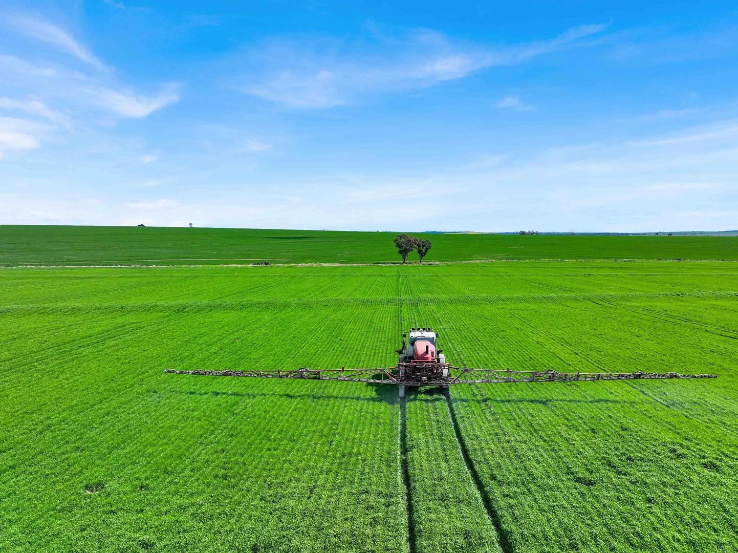 Additional image 6 of Croppa Creek NSW 2411