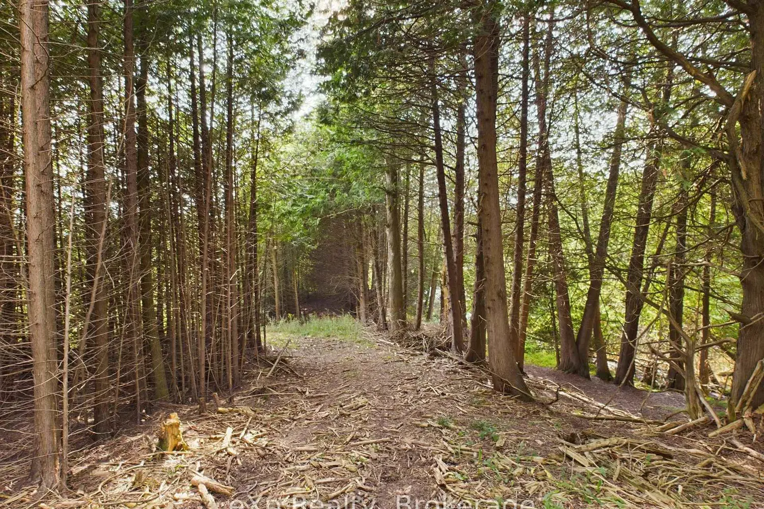 Additional image 14 of 502265 Concession 10 Ndr Concession