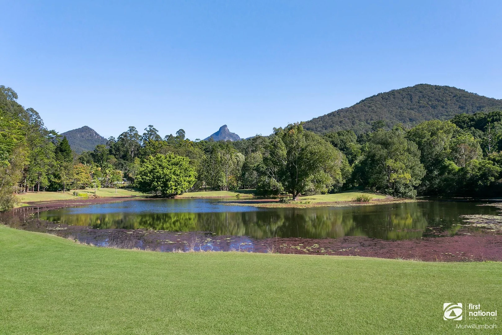 Additional image 15 of 39 Solomons Road, Mount Warning NSW 2484