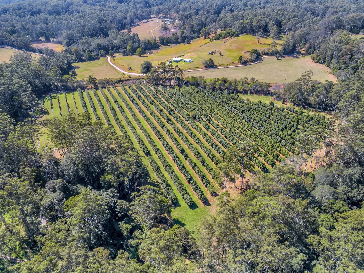 Additional image 7 of Pacific Highway, Eungai Creek NSW 2441