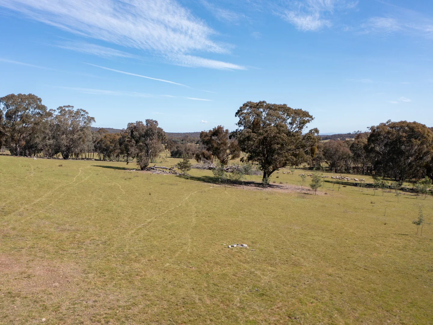 Additional image 5 of 7/7 East Triangle Road, Byawatha VIC 3678