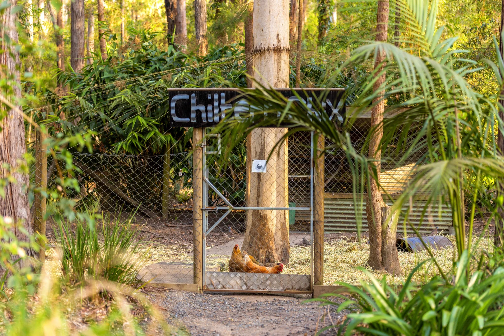 Additional image 37 of 139 Metz Road, Old Bar NSW 2430