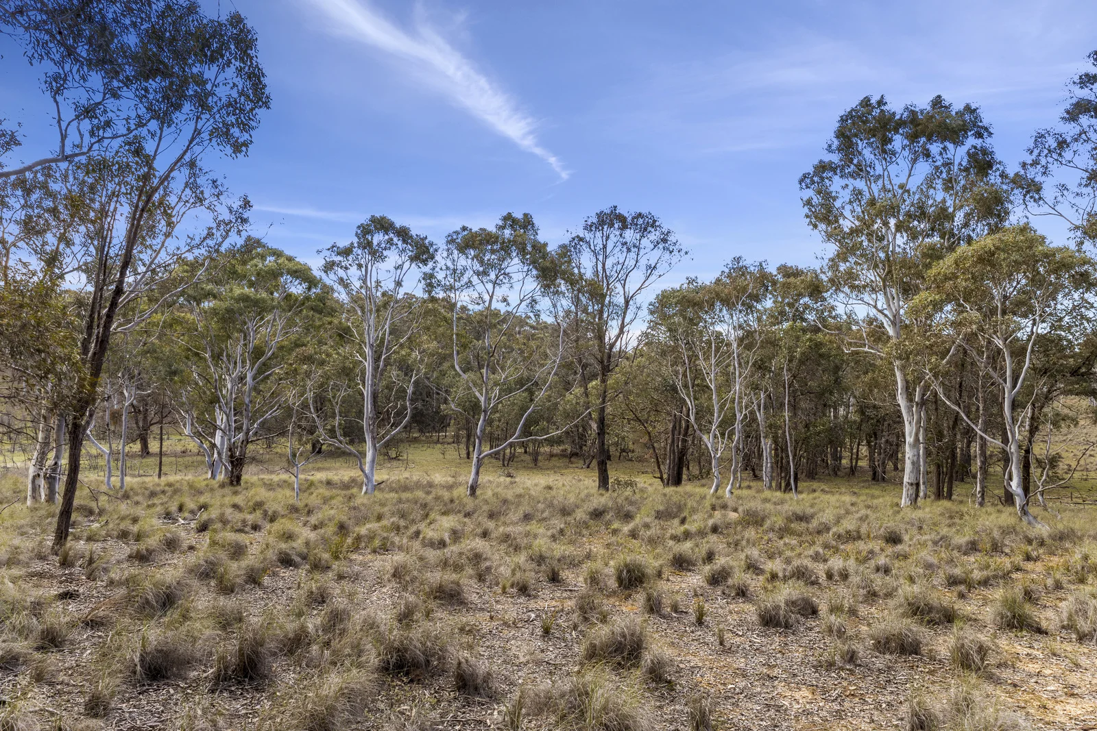 Additional image 28 of 512 Dicks Creek Road, Nanima NSW 2582
