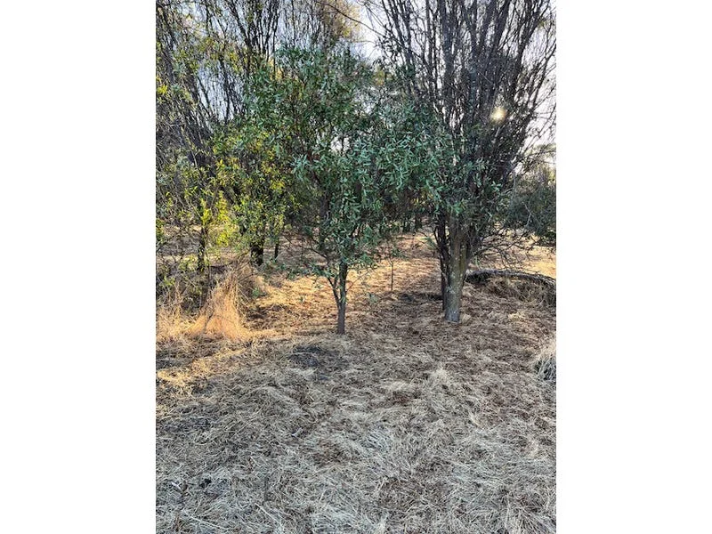 Additional image 23 of 964 Dobaderry Road, Beverley WA 6304