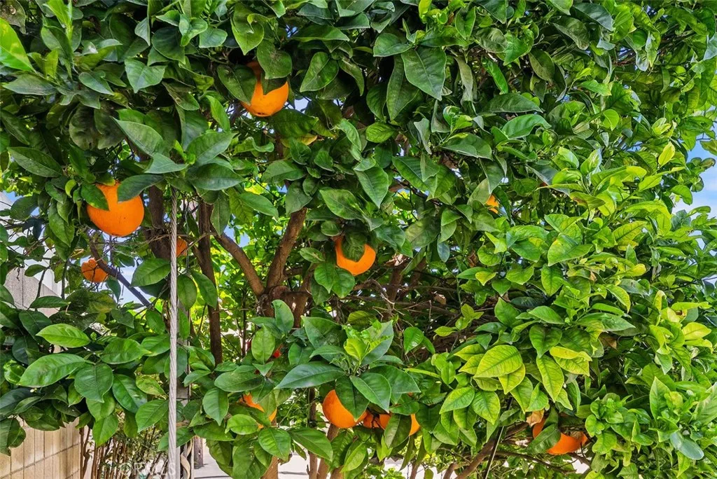 Additional image 64 of 8792 Grindlay St, Cypress, CA 90630