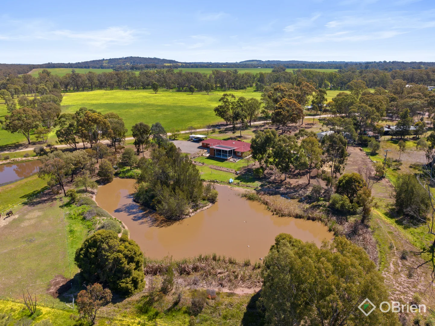 Additional image 39 of 111 Everitt Road, Peechelba VIC 3678