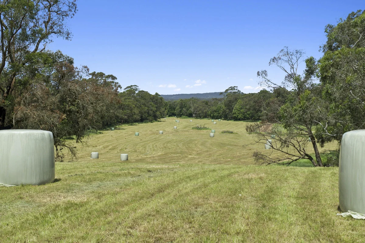 Additional image 29 of 2520 Carlisle Road, Carlisle River VIC 3239