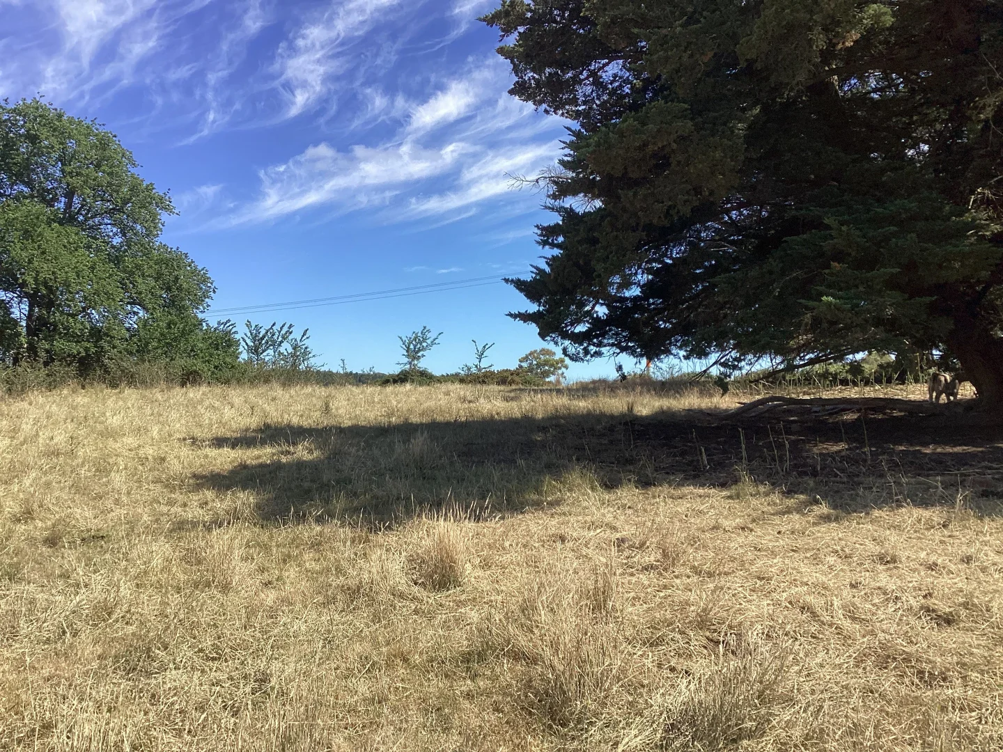 Additional image 5 of 10 & 10a Daniels Road, Scarsdale VIC 3351