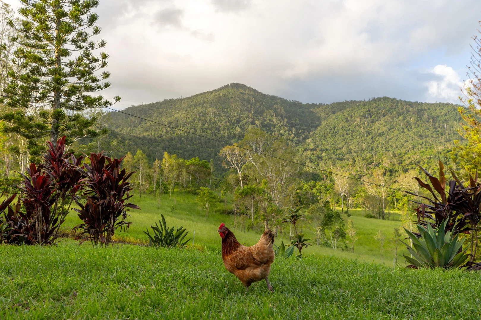 Additional image 15 of 79 De Boni Road, Gregory River QLD 4800