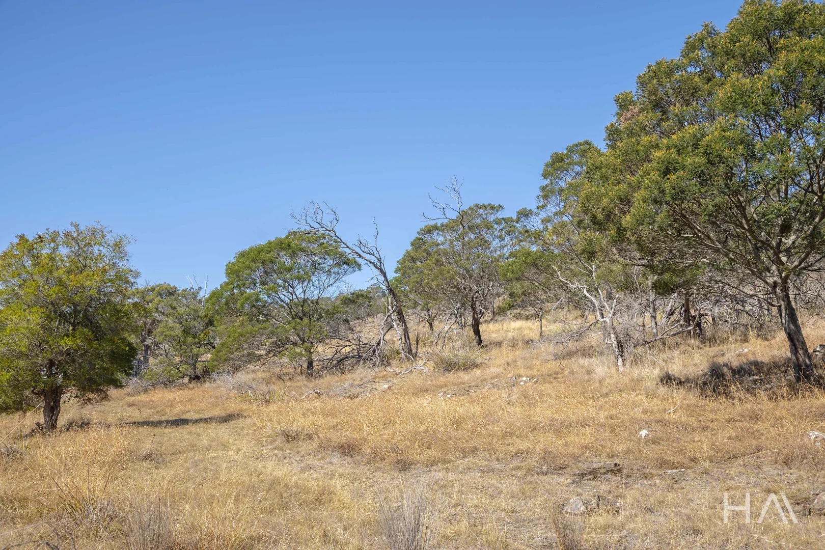 Additional image 6 of 20 Solis Rise, Swan Bay TAS 7252