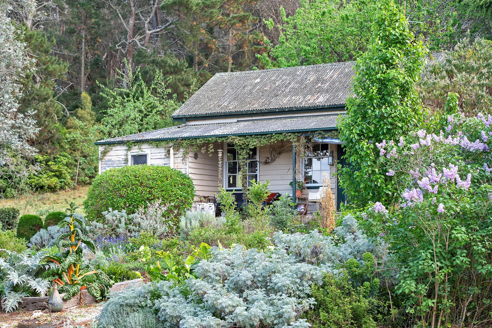 Additional image 20 of 202 Merrigang Street, Bowral NSW 2576