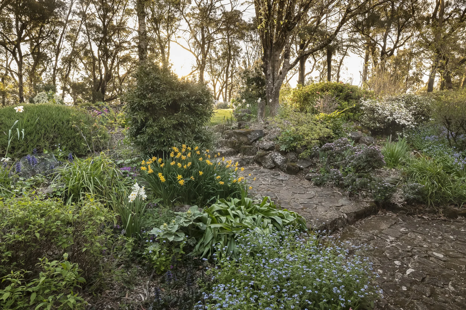 Additional image 23 of 33-41 Skyline Road, Mount Tomah NSW 2758