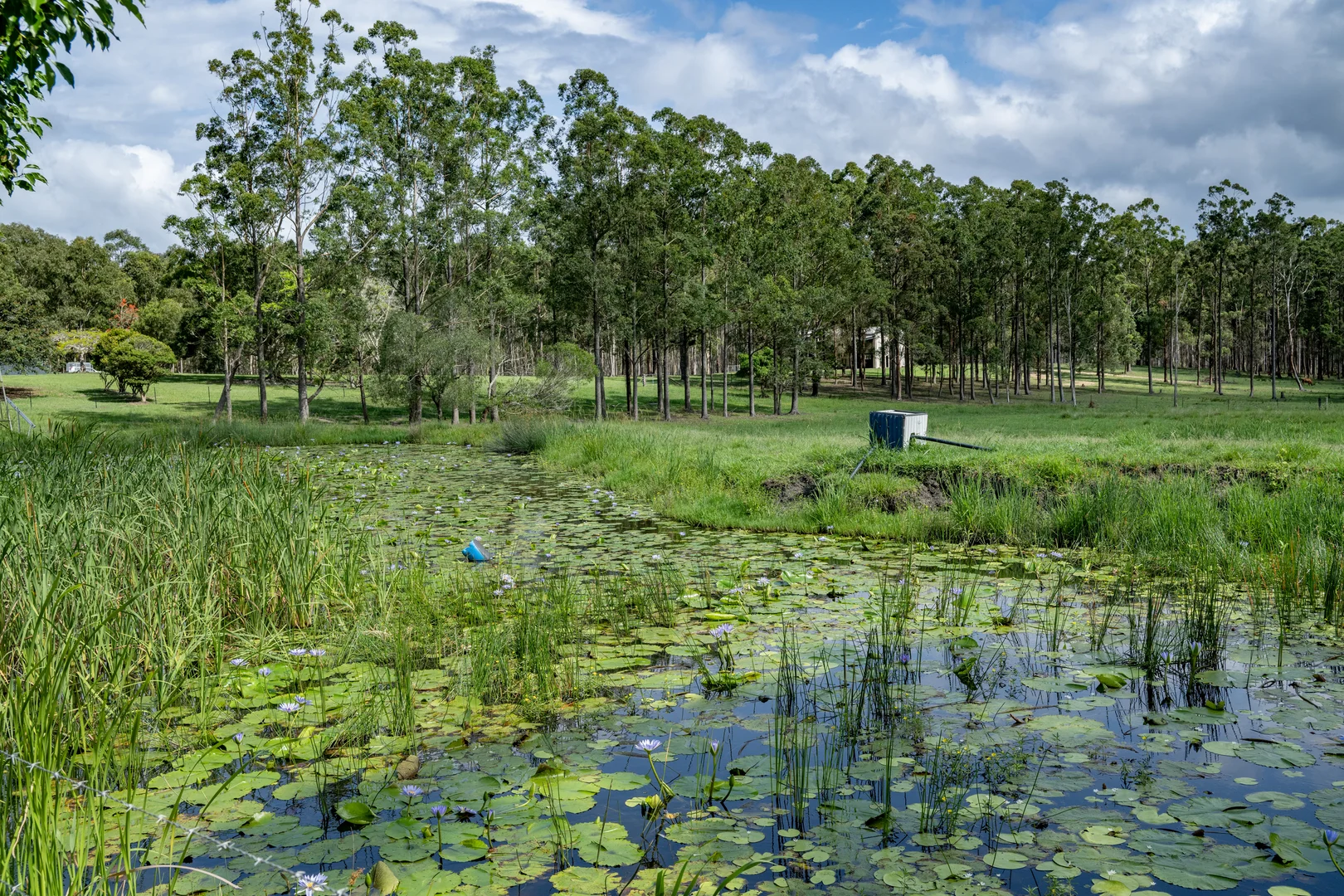 Additional image 20 of 239 Parsons Road, Coondoo QLD 4570