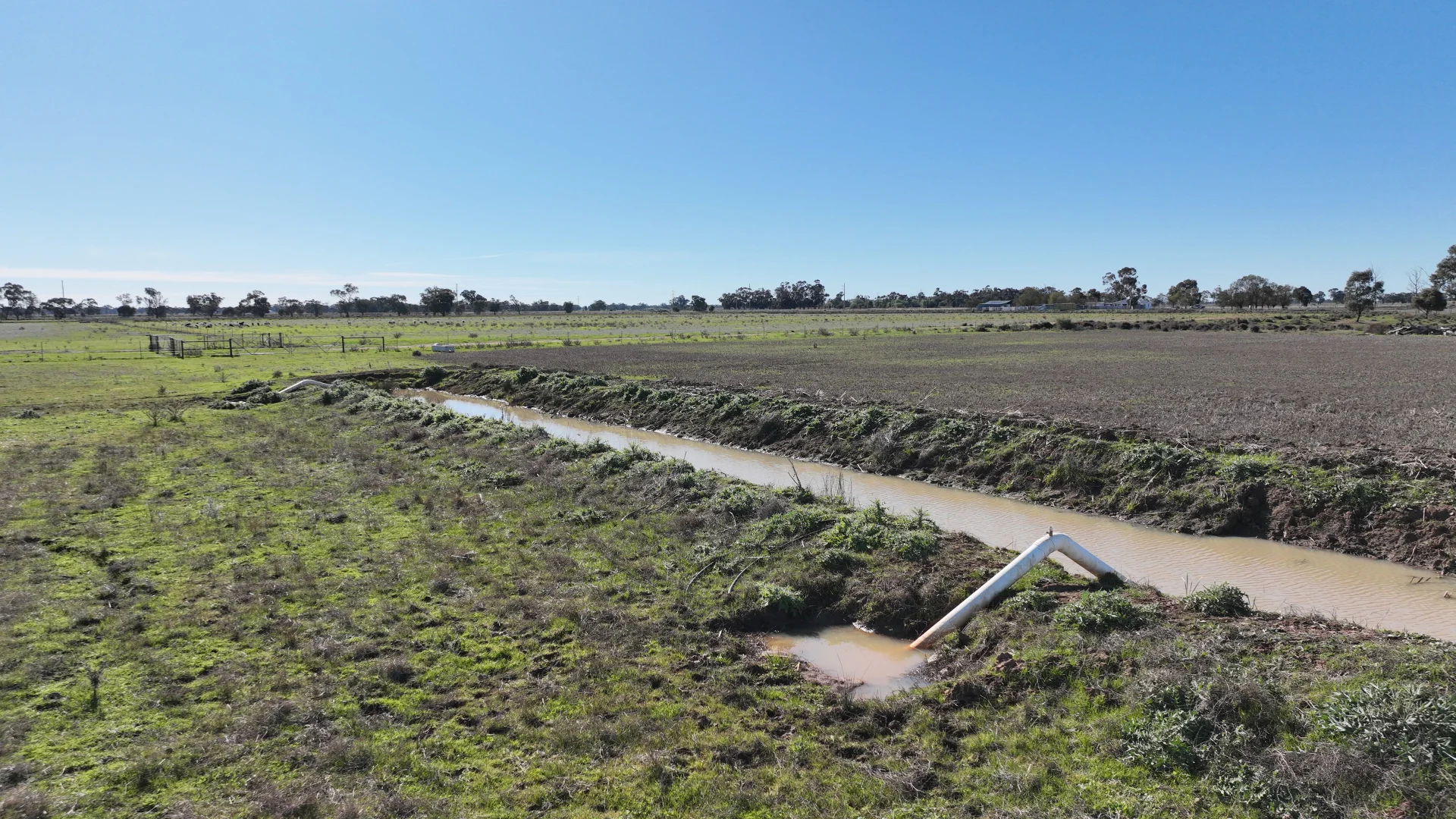 Additional image 39 of Shady Gums Birganbigil Road, Deniliquin NSW 2710