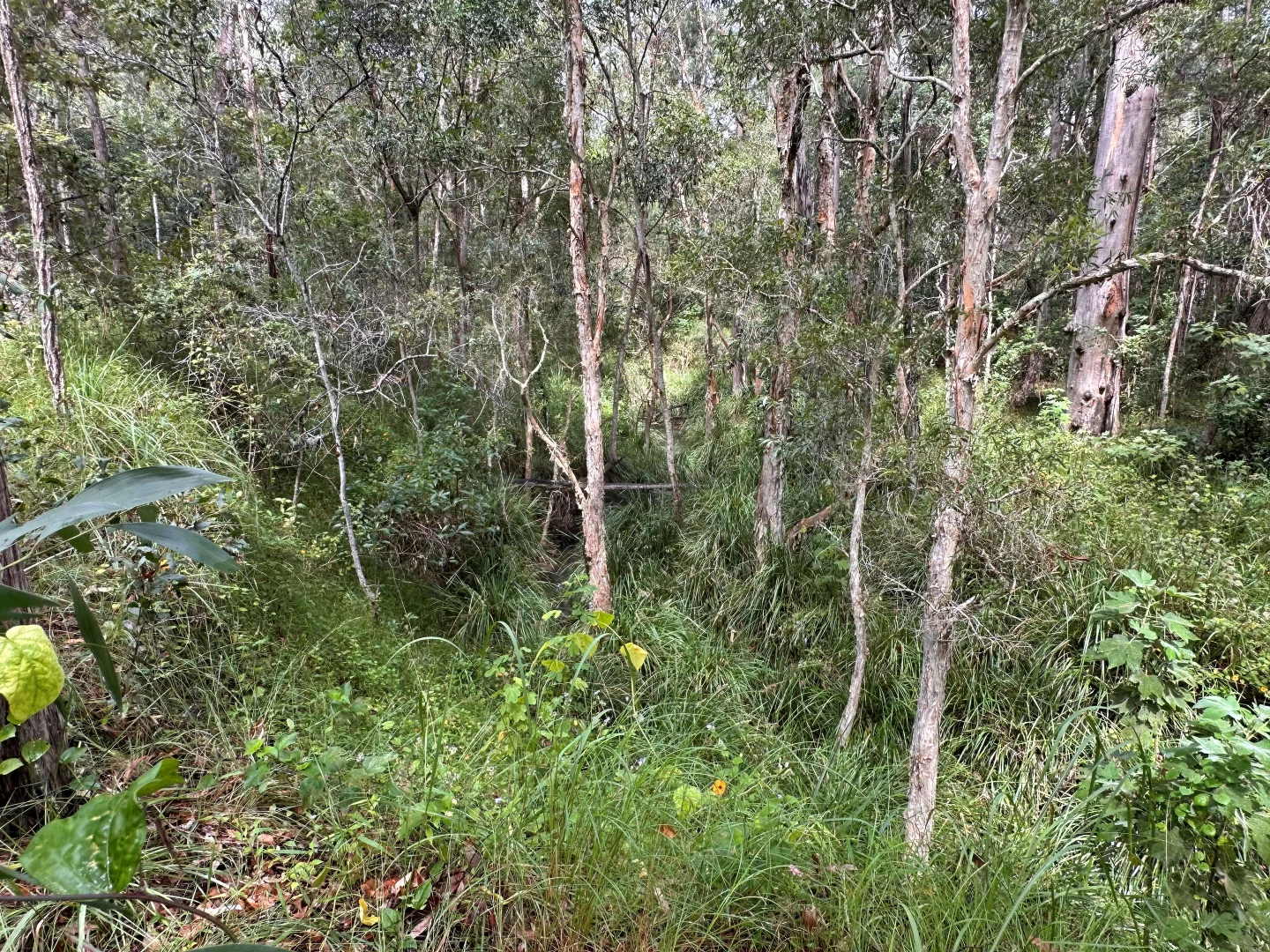 Additional image 12 of Lot 753 Arbortwenty eight, Glenwood QLD 4570
