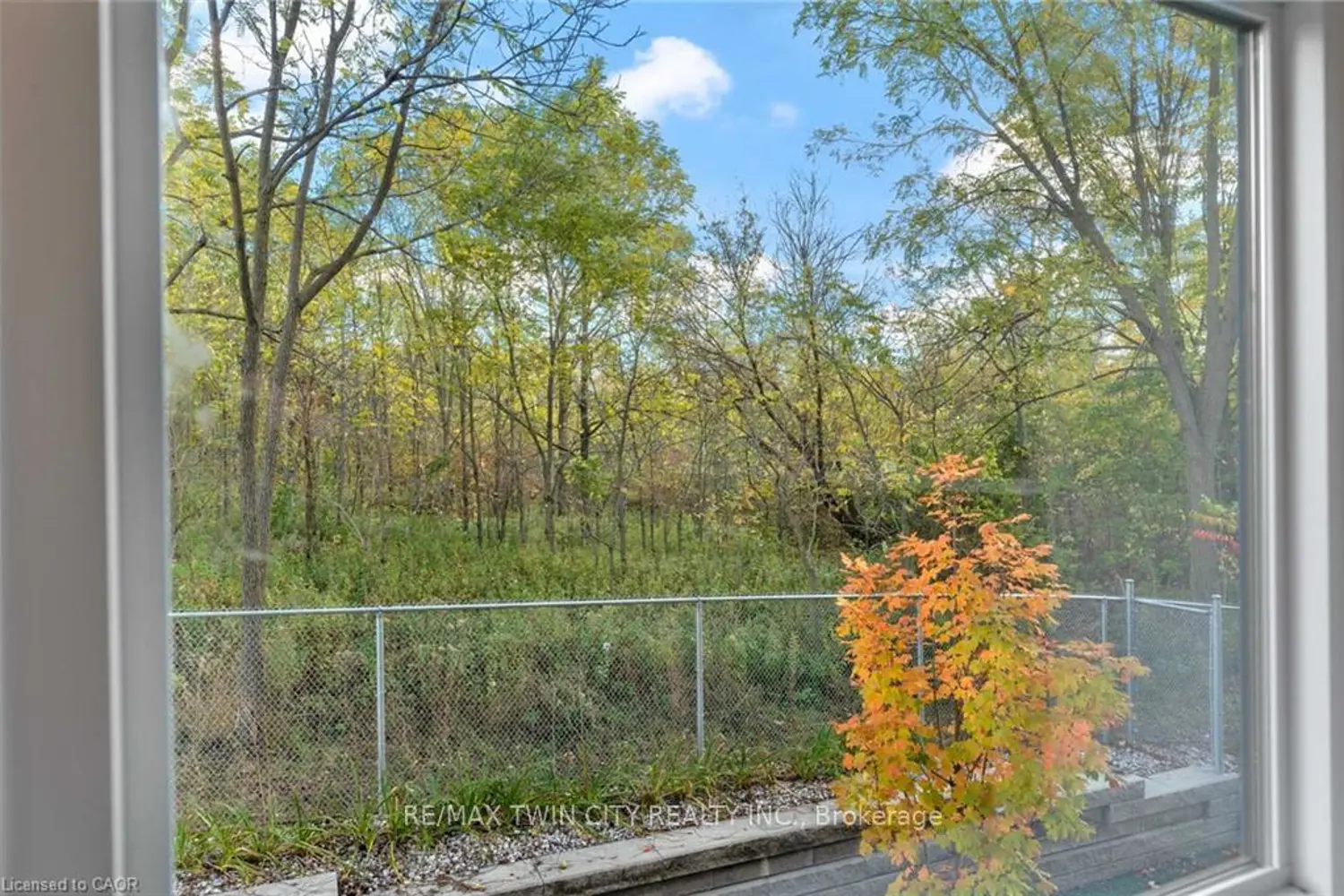 Additional image 15 of 88 Gibson Street 209