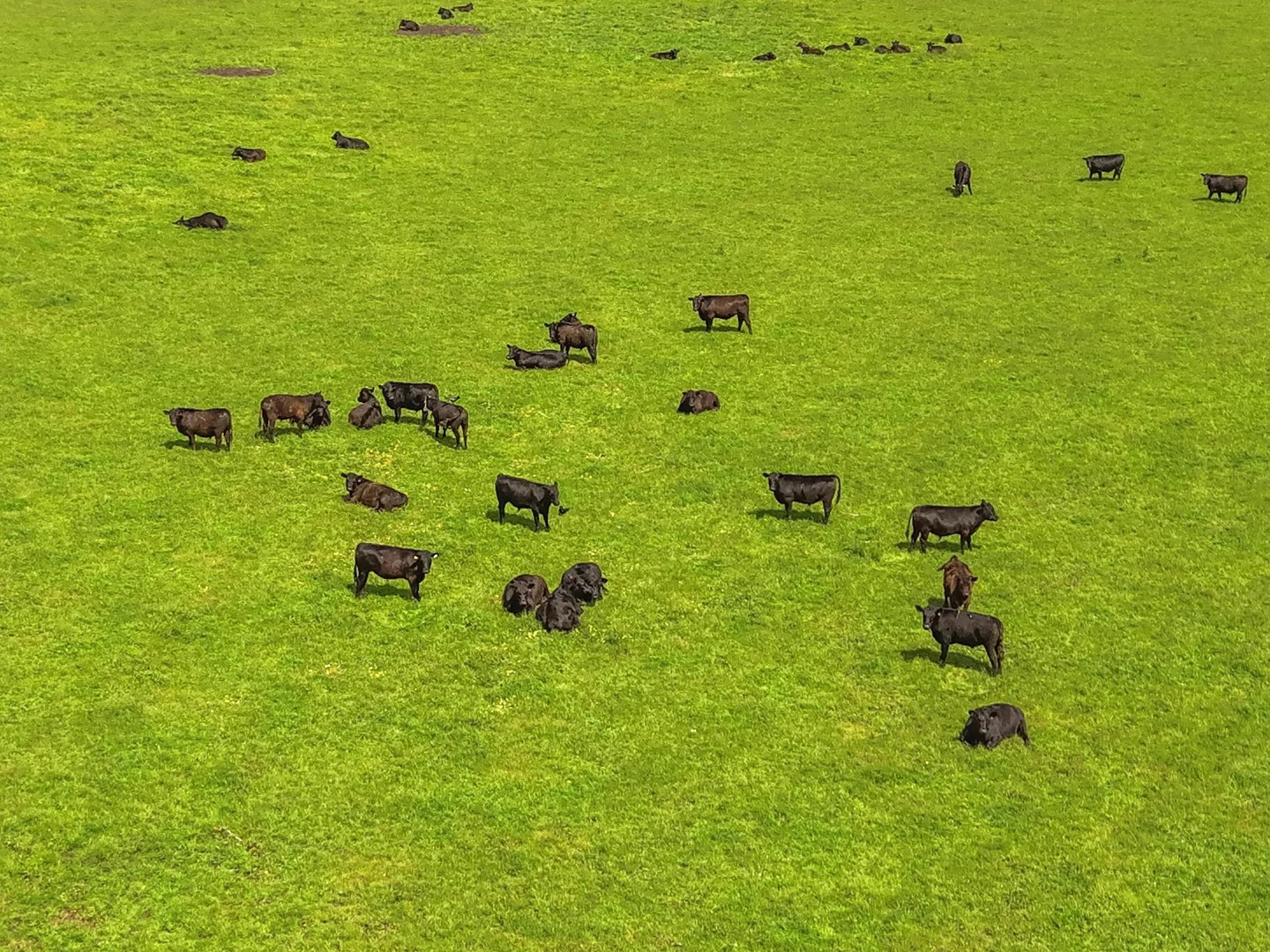 Additional image 27 of 300 Coffeys Lane, Heathmere VIC 3305