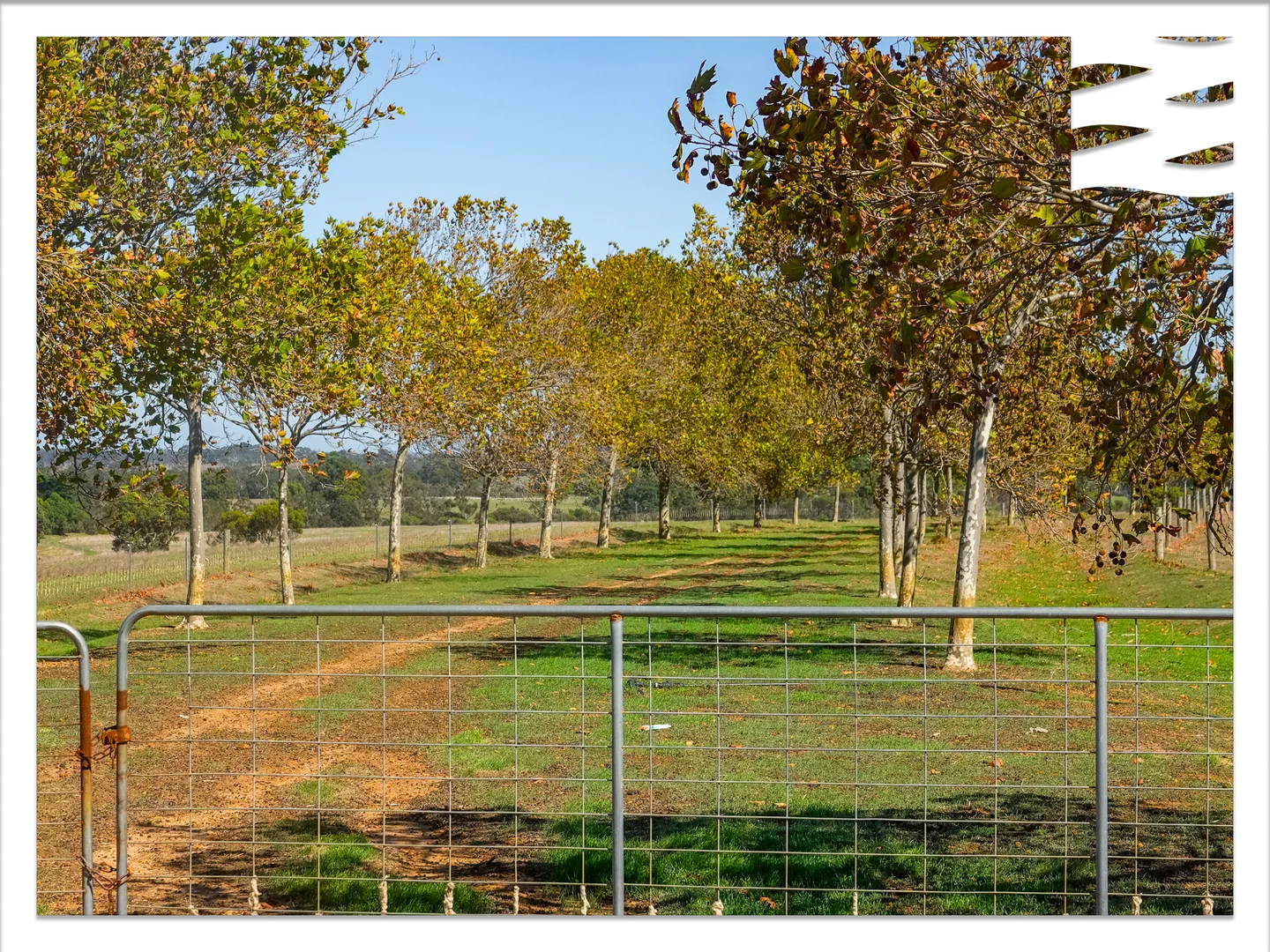 Additional image 21 of 81 O'Neill Road, Mount Barker WA 6324