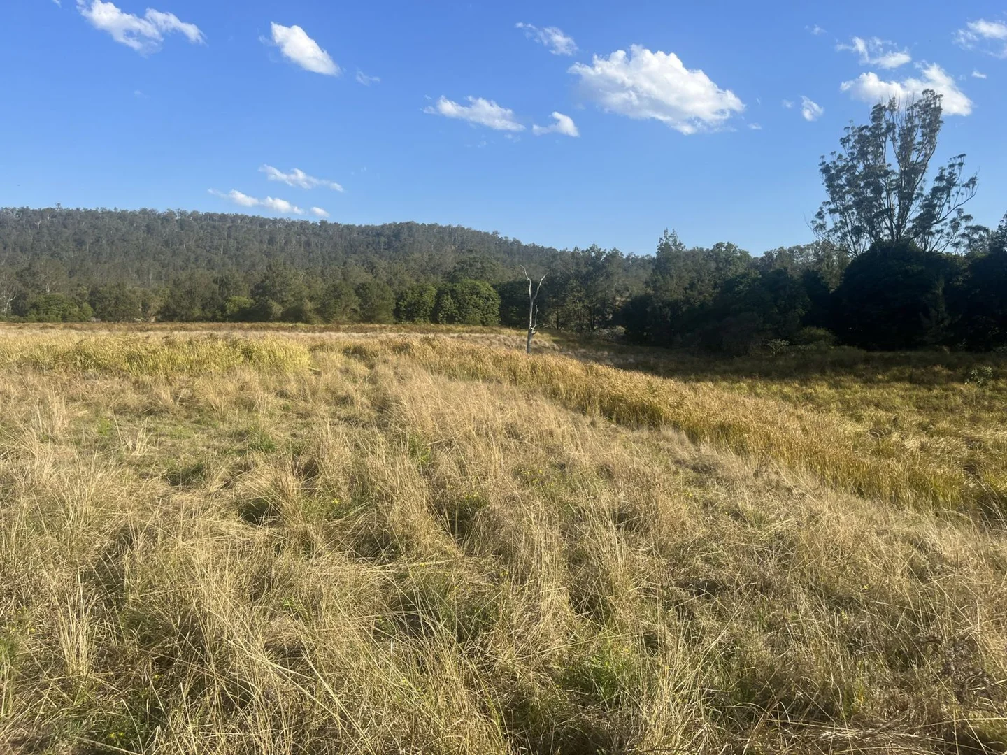Additional image 2 of 2374 Upper Mongogarie Road, Upper Mongogarie NSW 2470