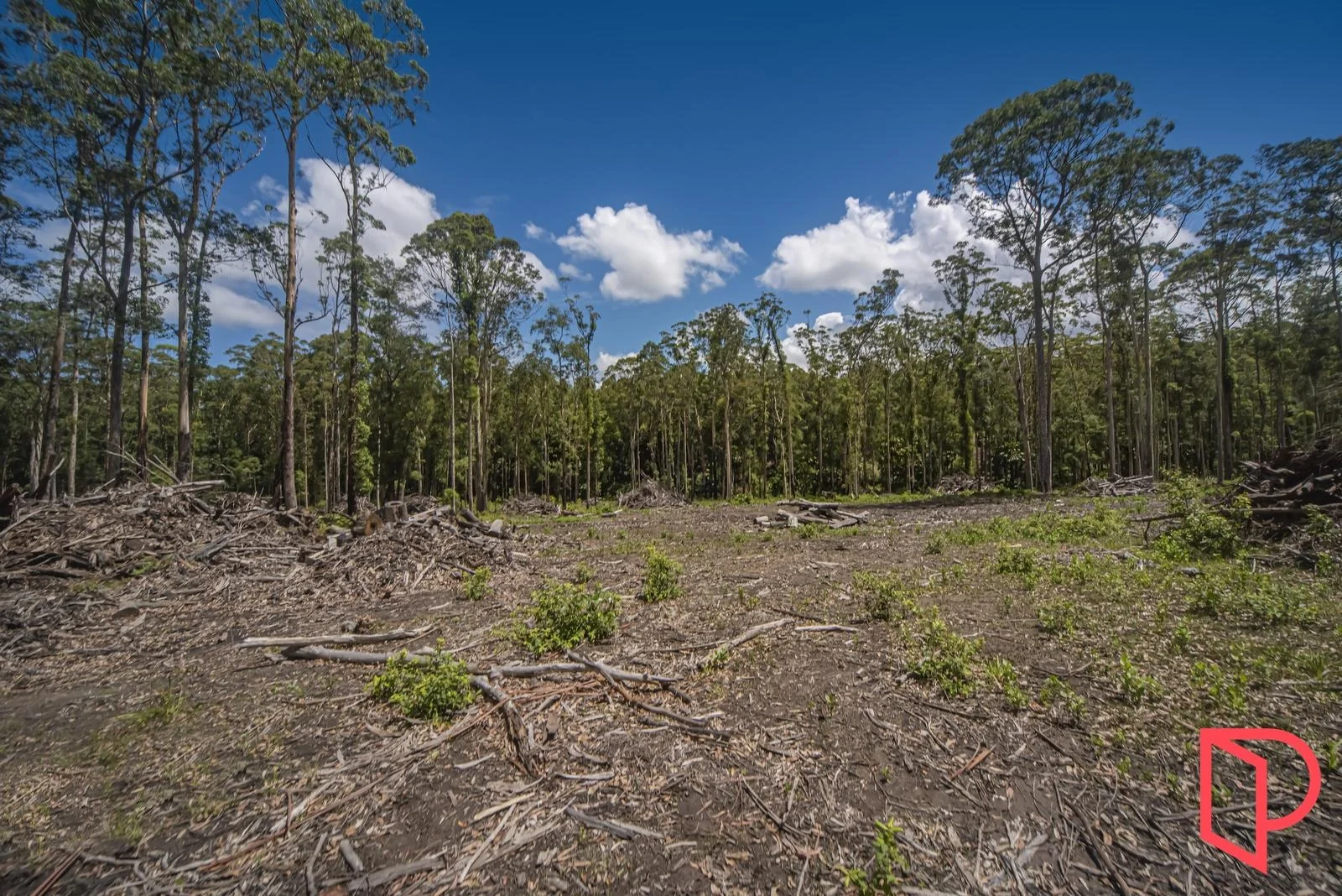 Additional image 11 of 42 Turpentine Road, Tomerong NSW 2540