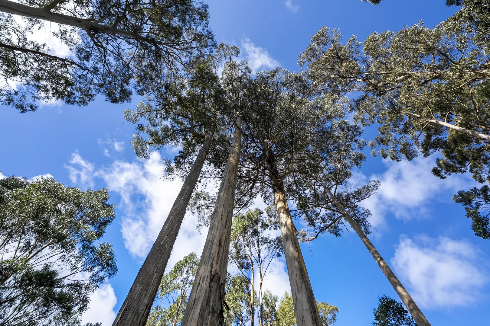 Additional image 5 of 129 Littles Road, Premaydena TAS 7185