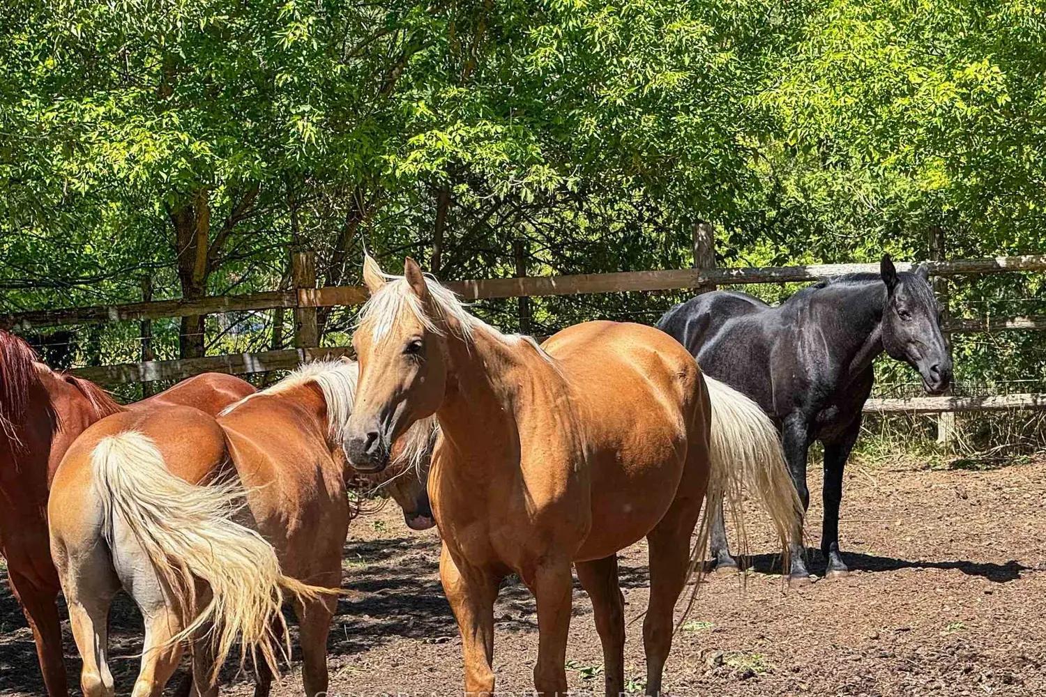 Additional image 11 of 16558 Highway 48