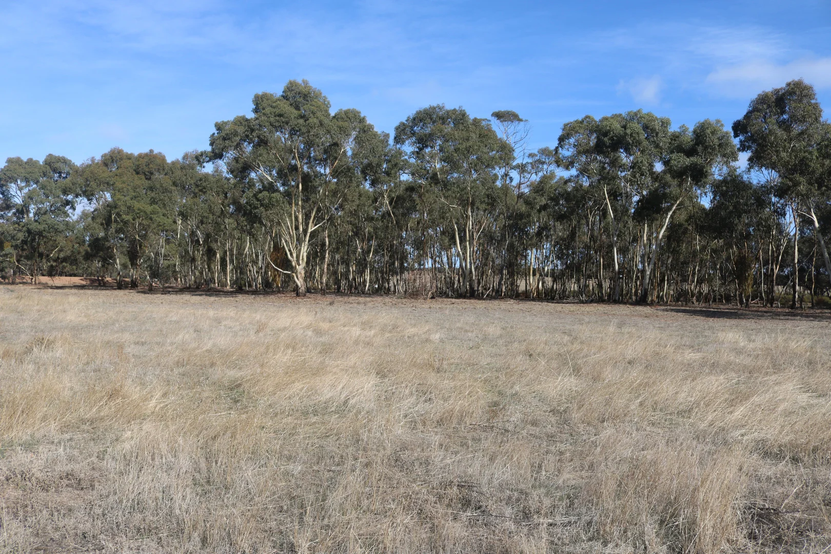 Additional image 12 of Old Boort Road, Wedderburn VIC 3518