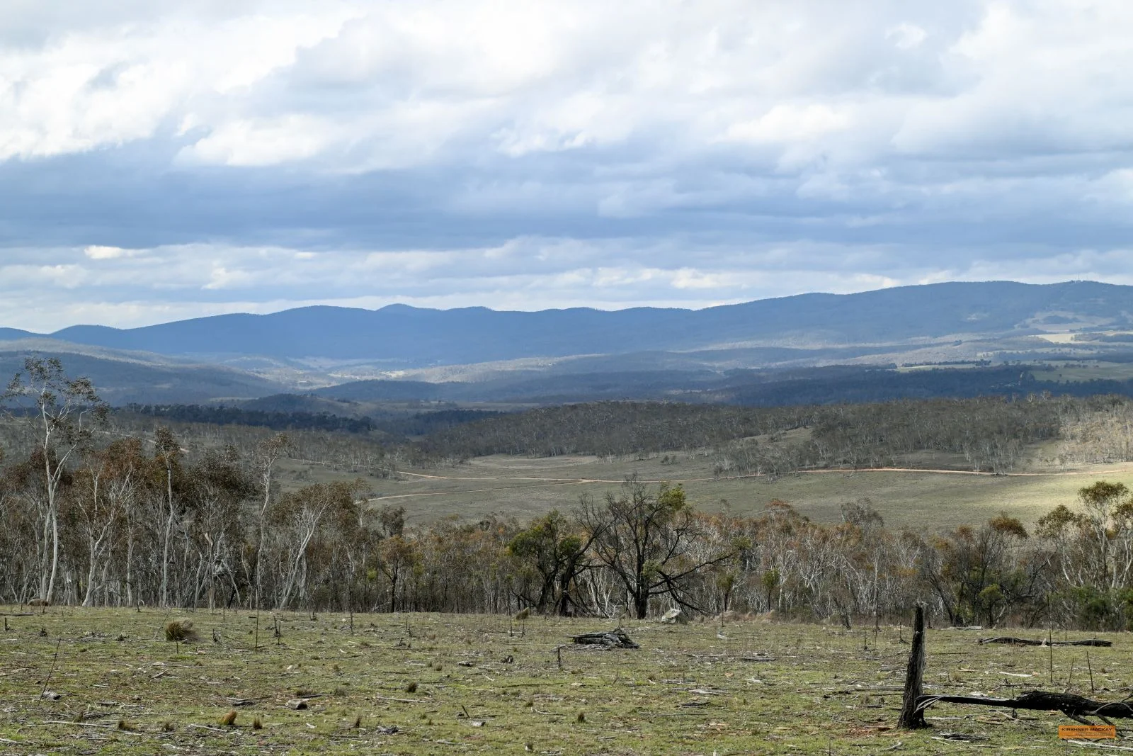 Additional image 8 of "Eagle Heights" 636 Caddigat Road, Dry Plain NSW 2630