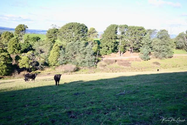 Additional image 7 of 200 Wonga Square Top Road, Wonga VIC 3960