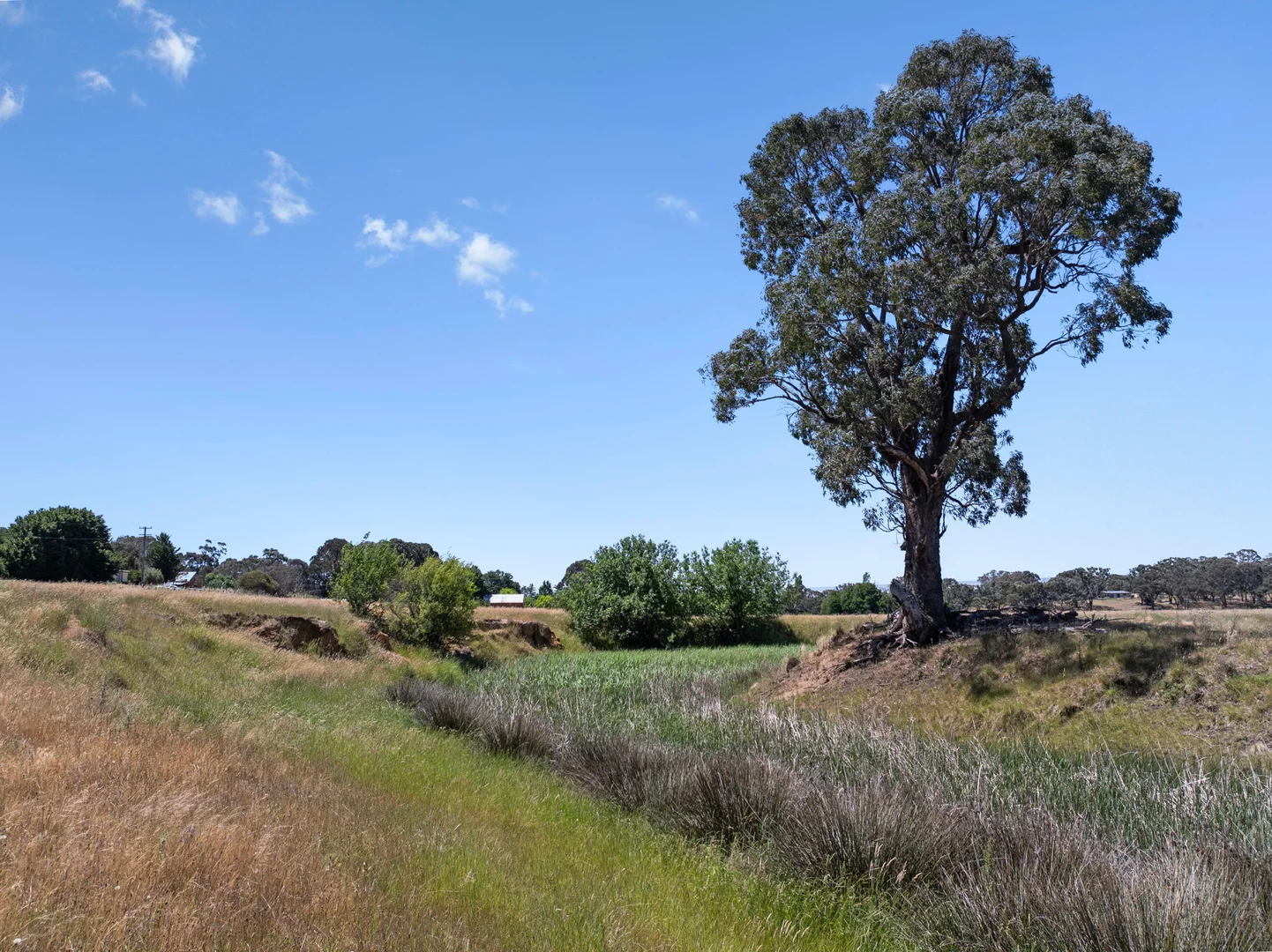 Additional image 9 of 1 ( Lot 42 ) Chapel St, Dalton NSW 2581