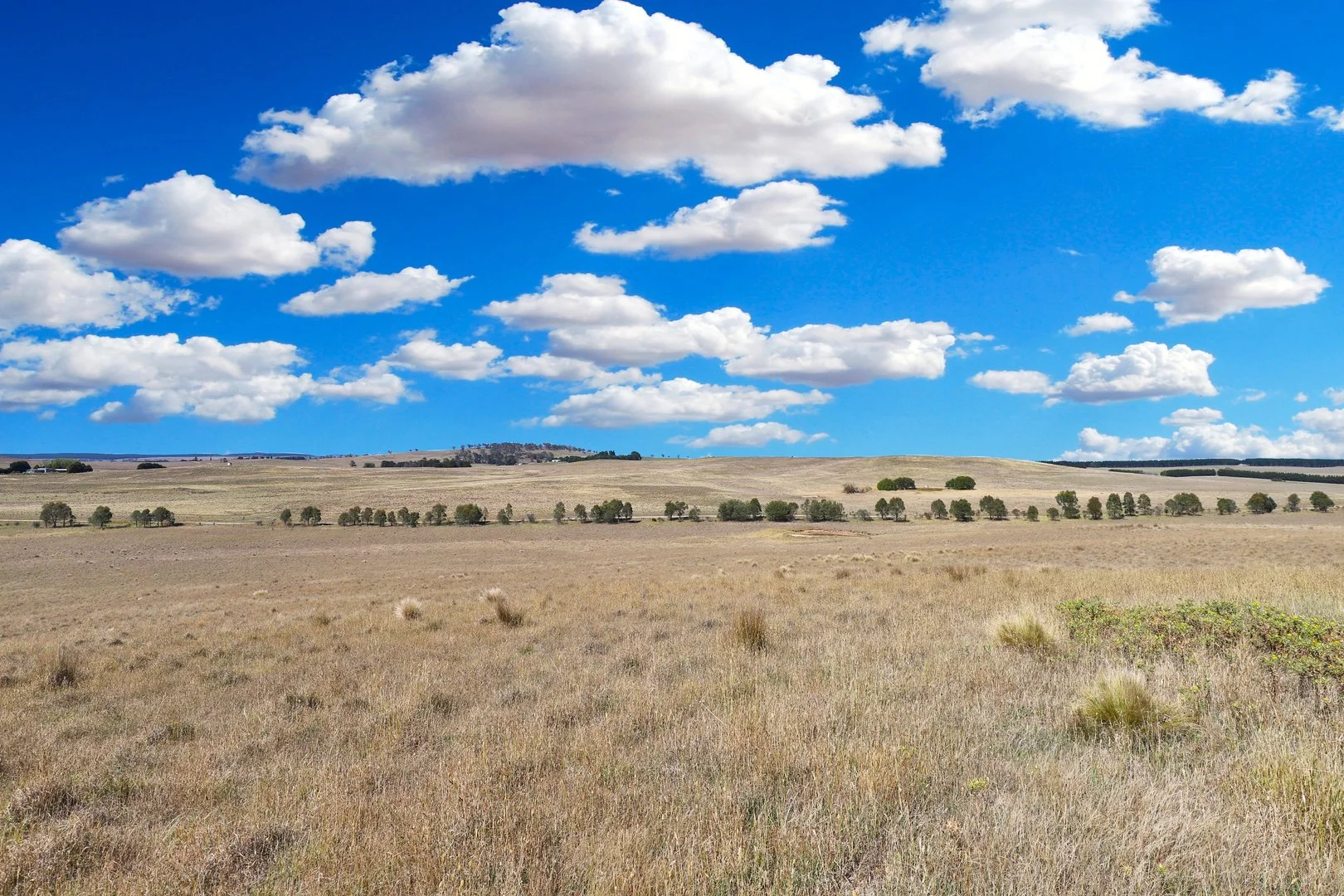 Additional image 16 of 77 Aerodrome Road, Bombala NSW 2632