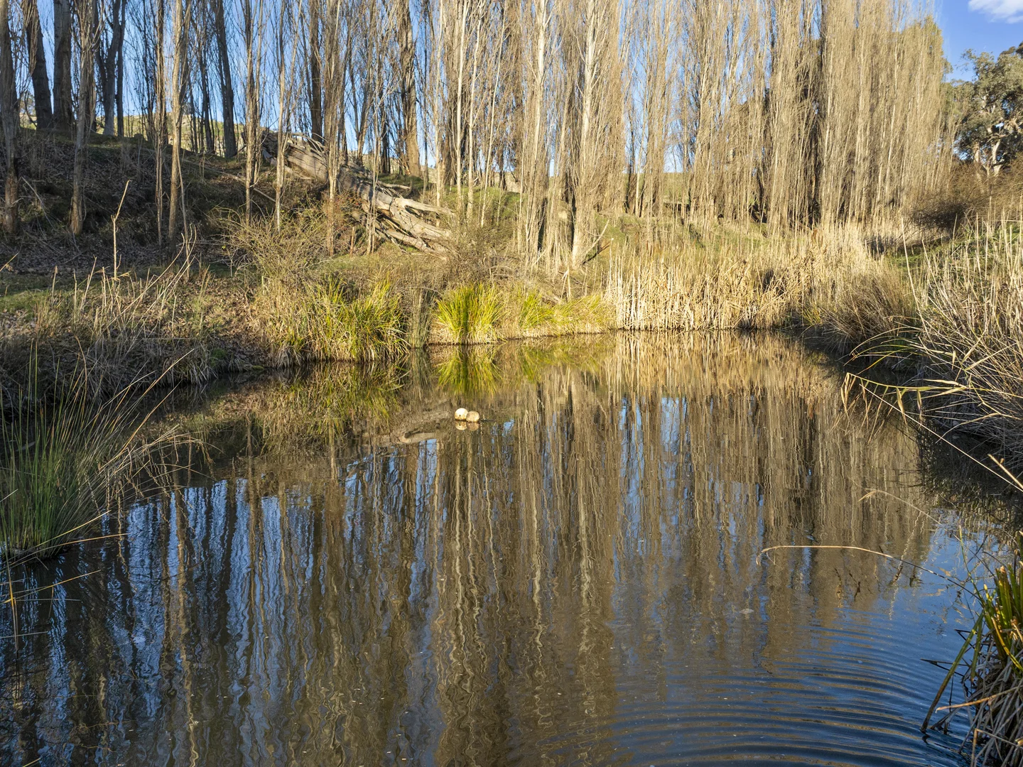 Additional image 14 of 304 Sheans Creek Road, Sheans Creek VIC 3666