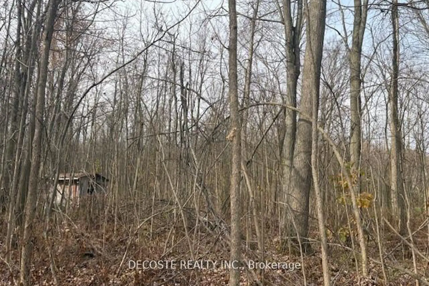 Additional image 4 of 4942 County Road 34 Road