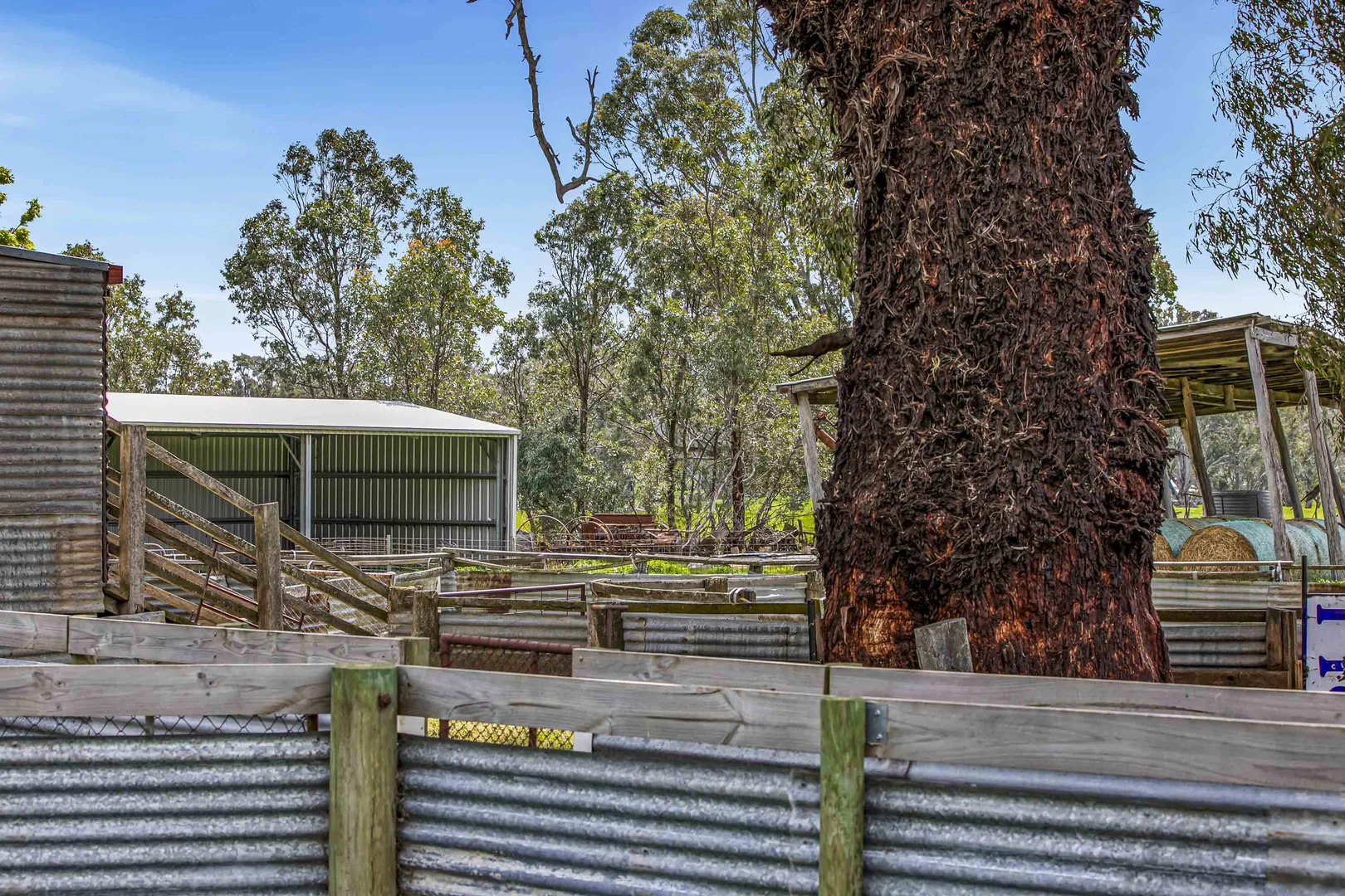 Additional image 13 of 441 Frenchmans - St Arnaud Road, Barkly VIC 3384