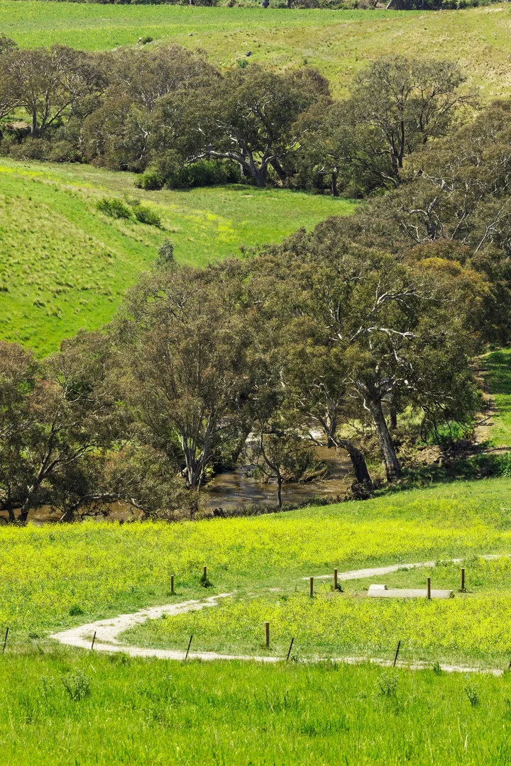 Additional image 20 of 2300 Midland Highway, Bannockburn VIC 3331