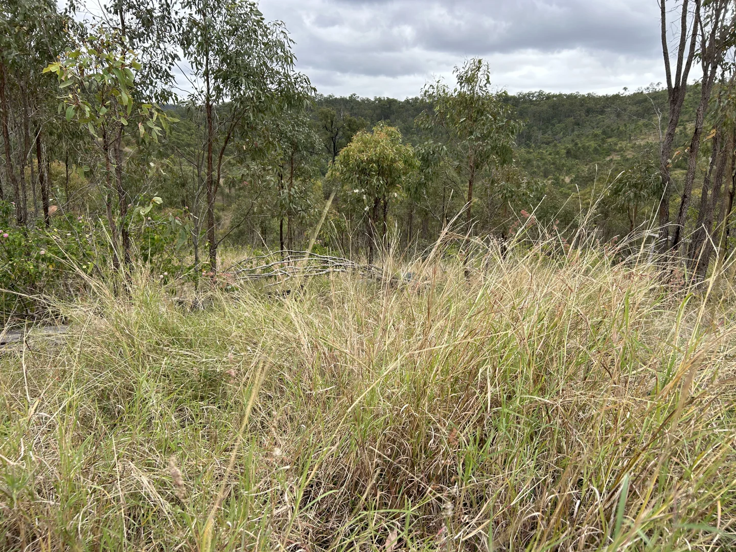 Additional image 25 of 789 Coppin Rd, Monto QLD 4630