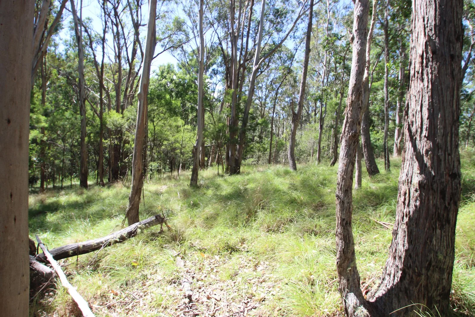 Additional image 20 of 1465 Billirimba Road, Tenterfield NSW 2372