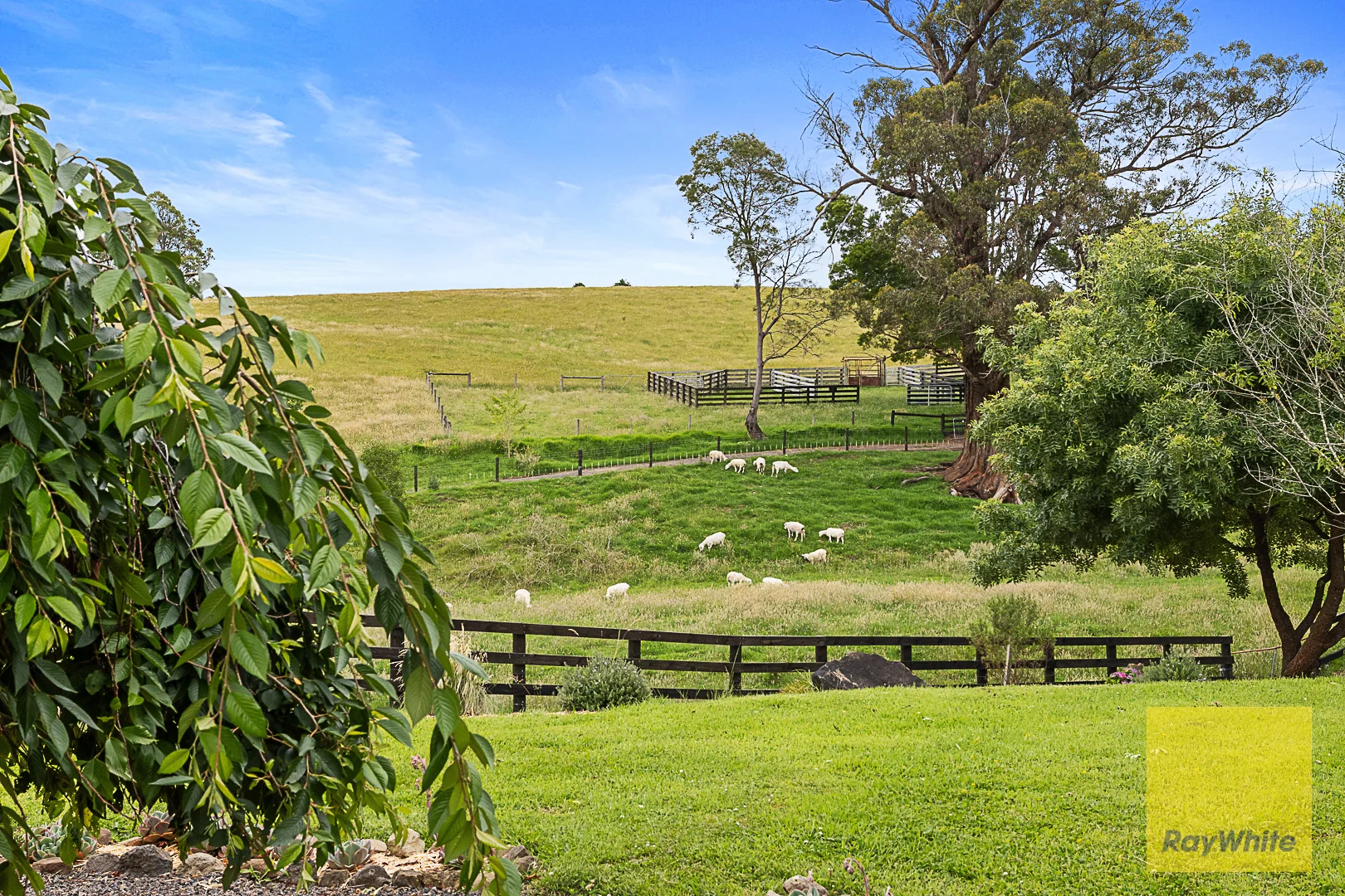 Additional image 21 of 127 Widdons Rd, Devon North VIC 3971
