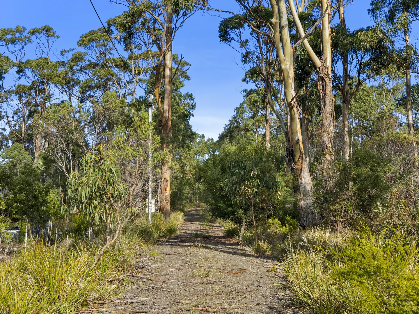 Additional image 10 of 573 White Beach Road, White Beach TAS 7184