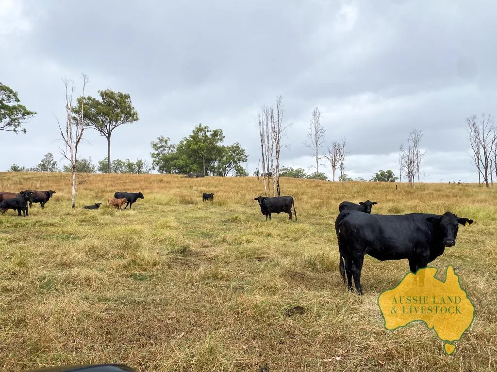 Additional image 22 of 59 MUNGY ROAD, Mungy QLD 4671