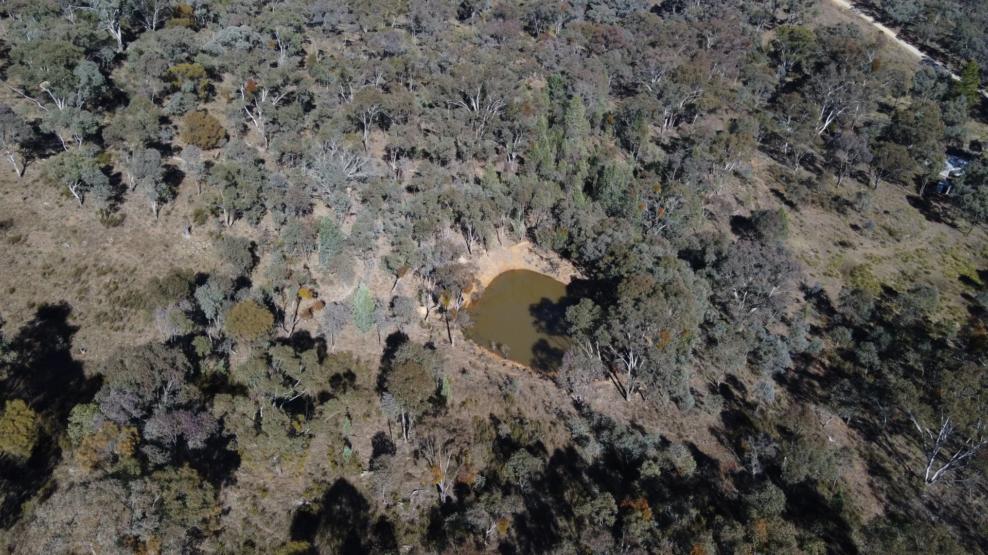 Additional image 7 of 206 Roberts Road, Mudgee NSW 2850