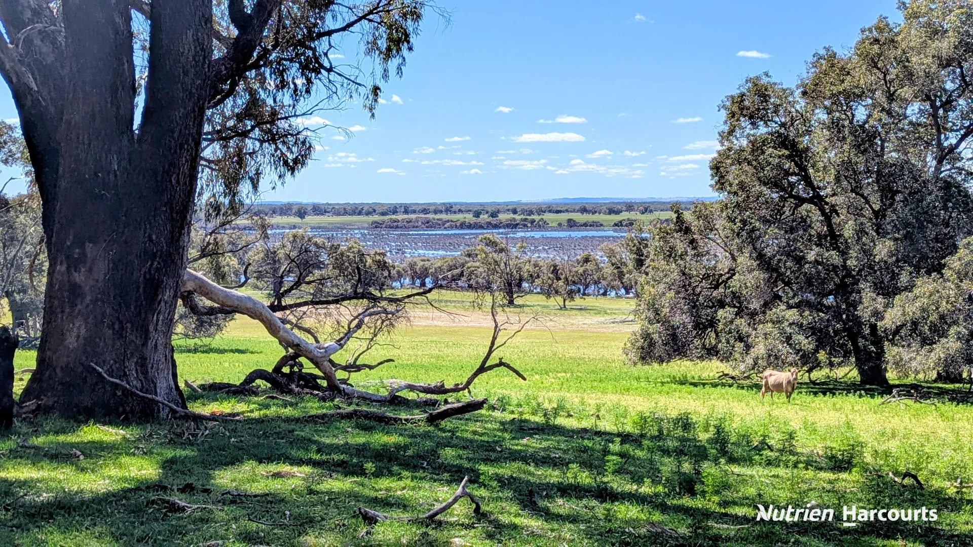 Additional image 39 of Lot 53 Cowalla Road, Cowalla WA 6503