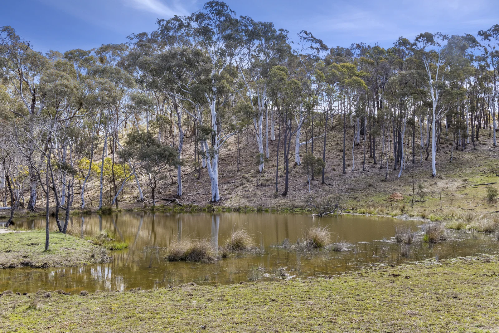 Additional image 34 of 512 Dicks Creek Road, Nanima NSW 2582