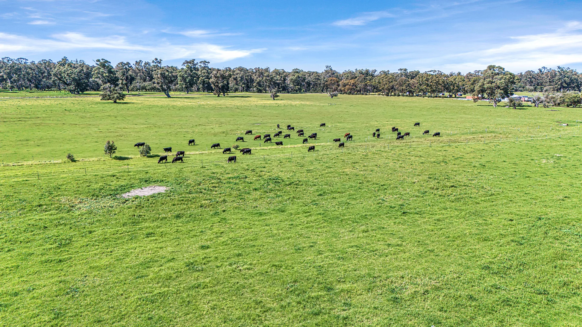 Additional image 17 of 313 Ludlow Road North, Forrest Beach WA 6271