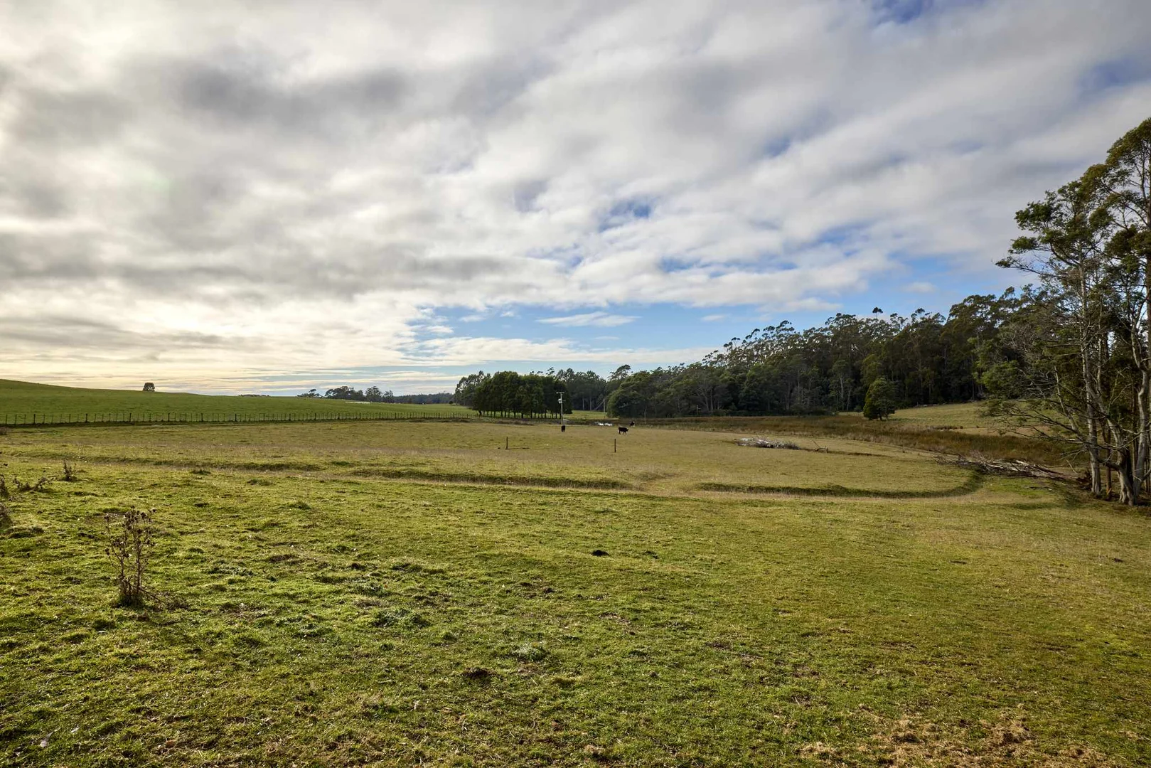 Additional image 20 of 1599 Castra Road, Sprent TAS 7315