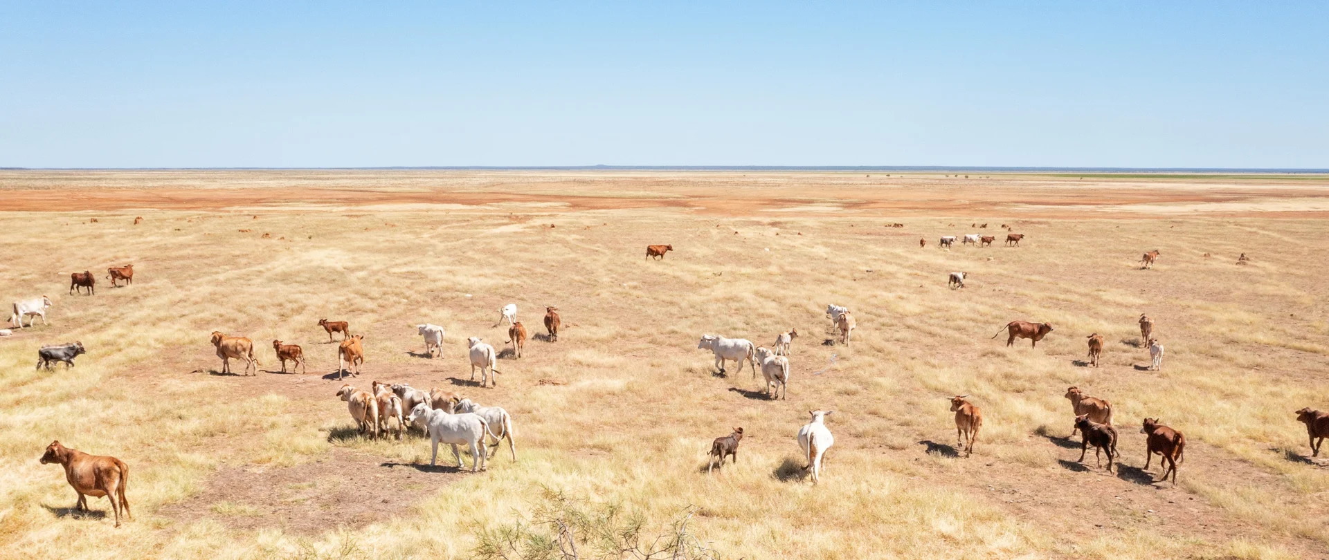 Additional image 16 of Great Northern Highway, Derby WA 6728