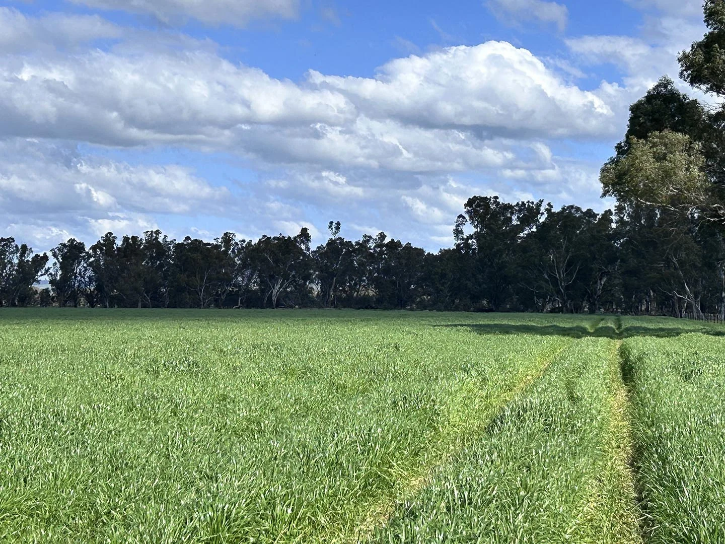 Additional image 10 of 1241 Drysdale Road, Pranjip VIC 3666